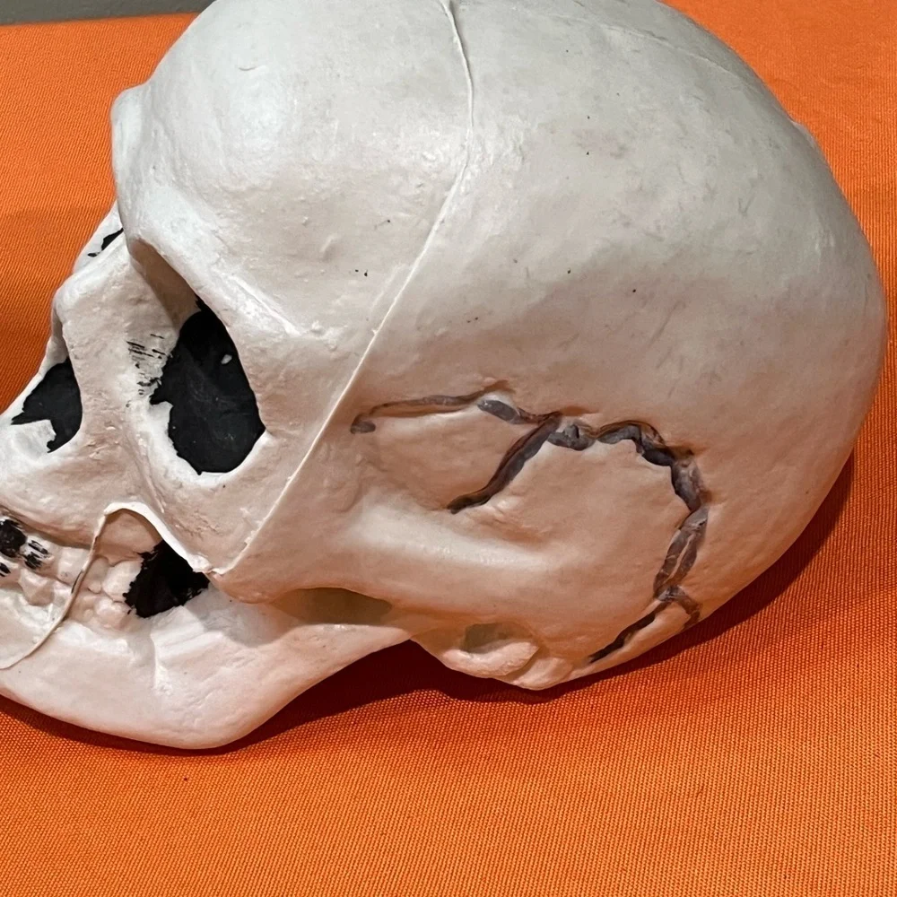 6/$25 Gray and White Skull Decor Set - Picture 3 of 15
